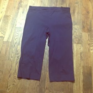 Kim Roger blue cropped dress pants